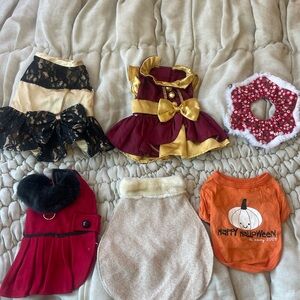 XS Holiday Dog Clothes Bundle